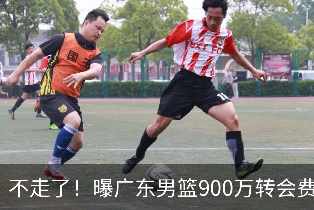 不走了！曝广东男篮900万转会费签下昔日状元内线，杜锋拒绝摆烂